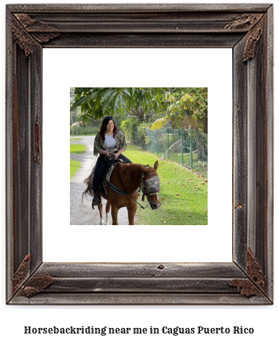 horseback riding near me in Caguas, Puerto Rico